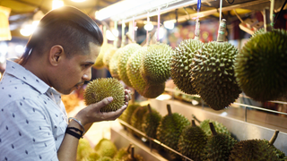 Stinky fruit wreaks havoc on a German post office